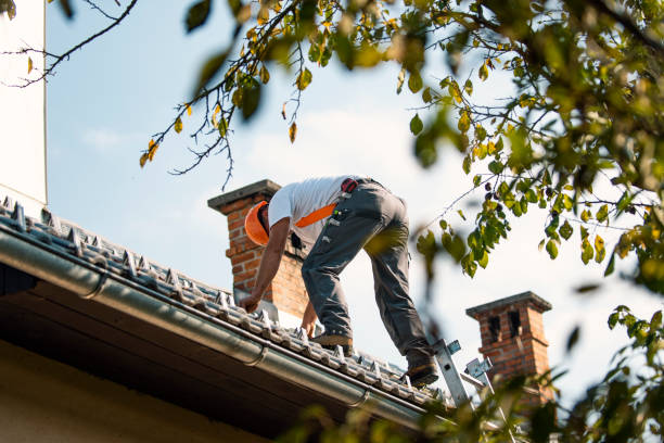 Best Roof Installation  in Wellsville, KS