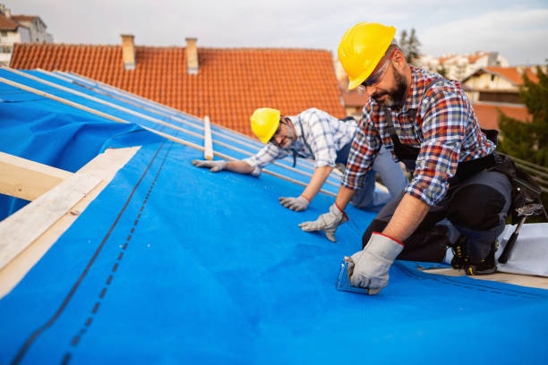 Best Roof Insulation Installation  in Wellsville, KS