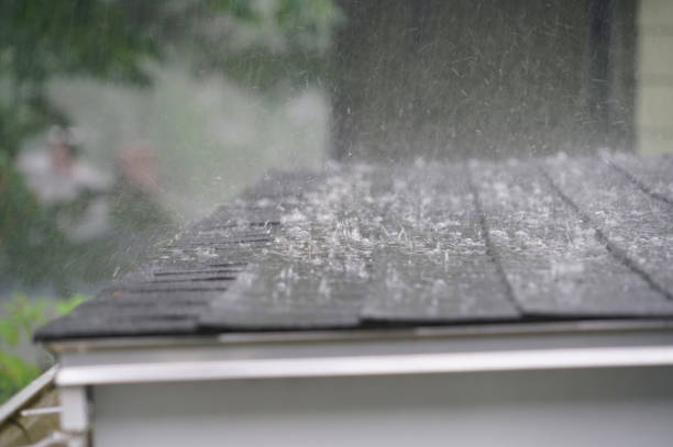 Best Roof Leak Repair  in Wellsville, KS